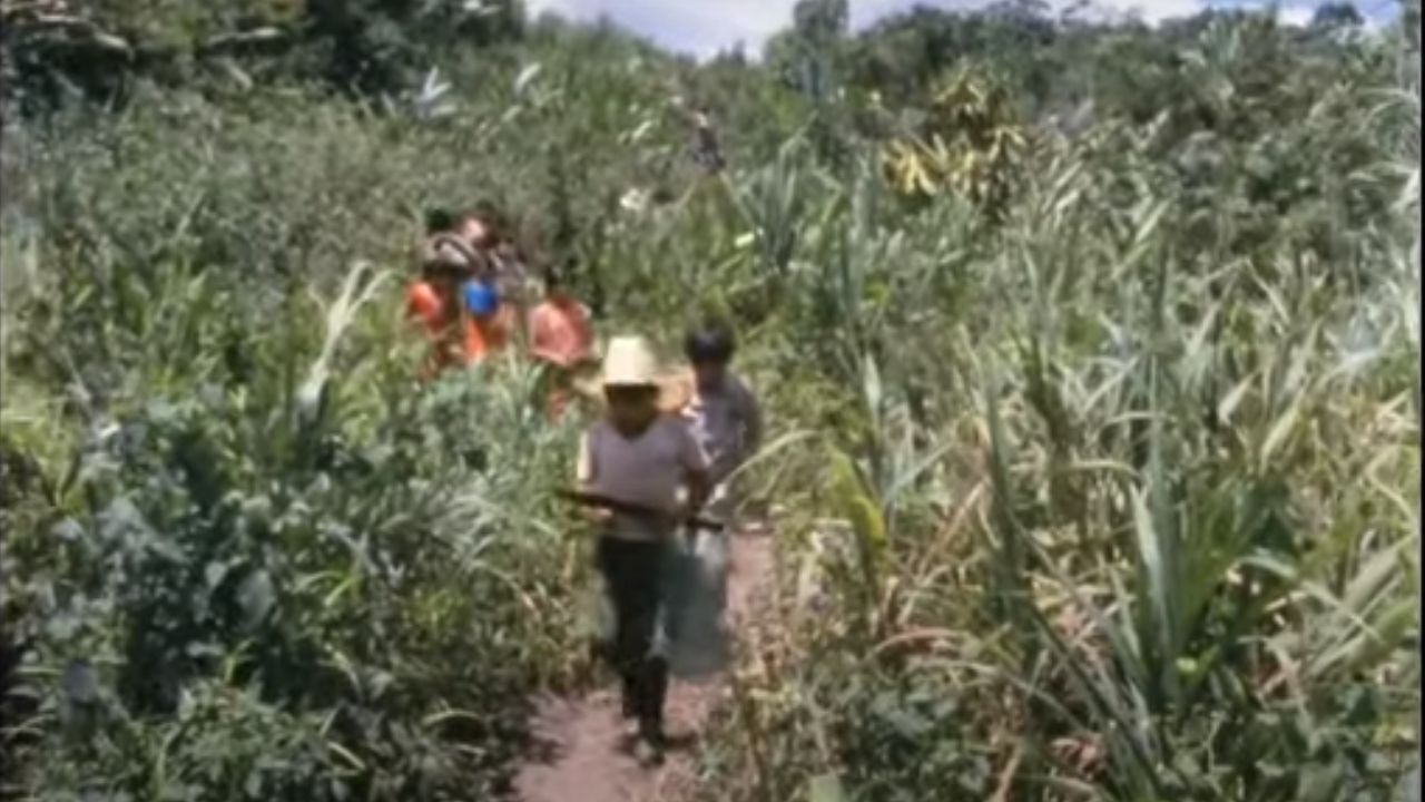 Los Caminos del Silencio