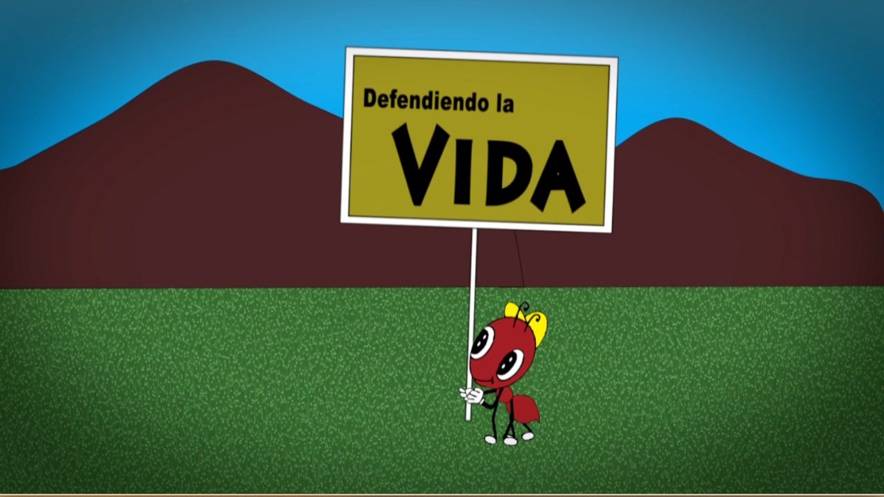 Defendiendo la Vida