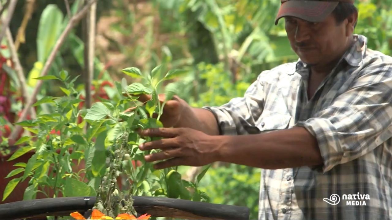 La Otra Agricultura