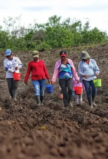Campesinas Semillas de Vida