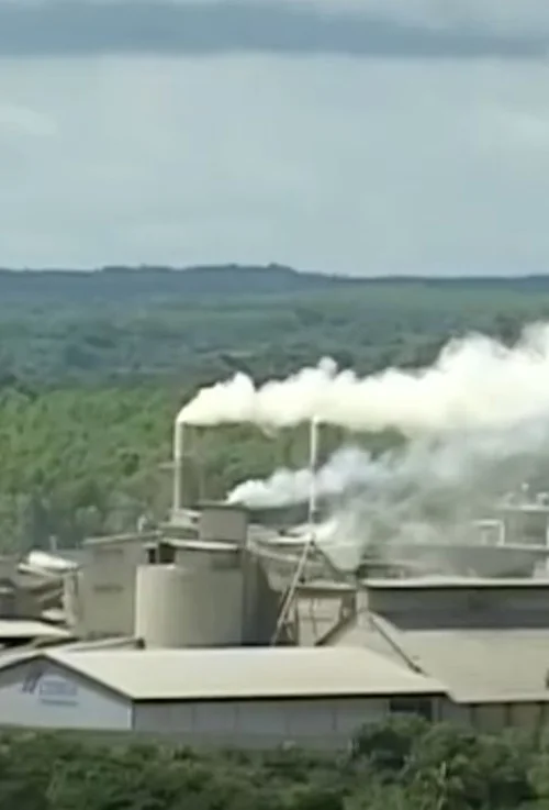 Lo que el Viento Nos Dejó, Alerta Verde