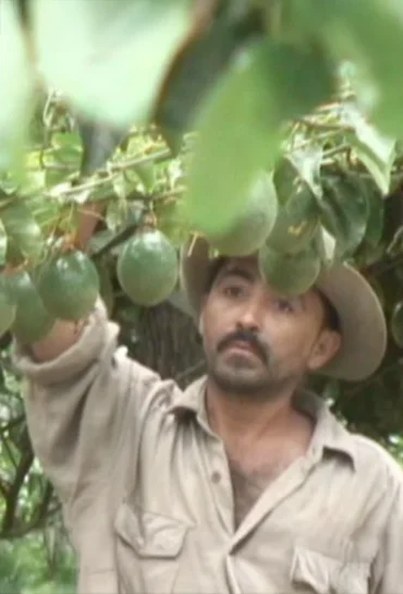 Viajando con el CATIE