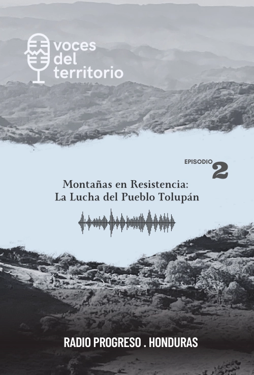 Montañas en Resistencia: La lucha del pueblo Tolupán
