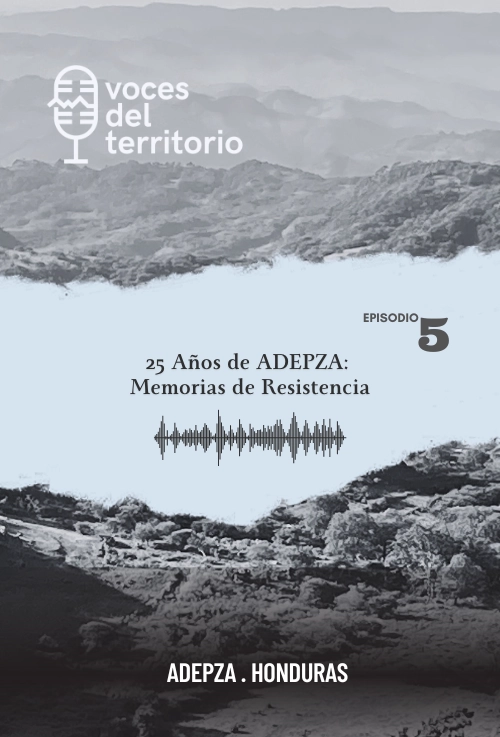 25 años de ADEPZA: memorias de resistencia
